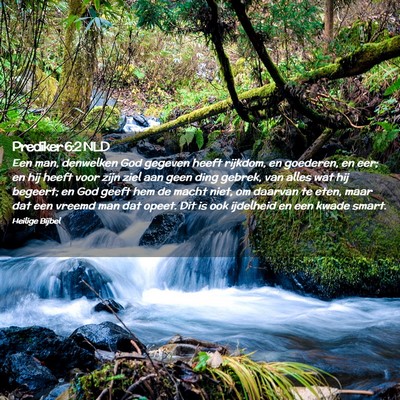 Picture 02 - Prediker 6:2 NLD - Een man, denwelken God gegeven heeft rijkdom, en - Bible Verse Picture