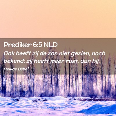 Picture 02 - Prediker 6:5 NLD - Ook heeft zij de zon niet gezien, noch bekend; - Bible Verse Picture