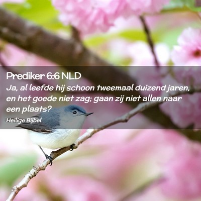 Picture 02 - Prediker 6:6 NLD - Ja, al leefde hij schoon tweemaal duizend jaren, - Bible Verse Picture
