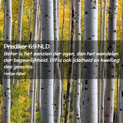 Picture 02 - Prediker 6:9 NLD - Beter is het aanzien der ogen, dan het wandelen - Bible Verse Picture