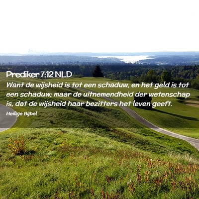 Picture 02 - Prediker 7:12 NLD - Want de wijsheid is tot een schaduw, en het geld - Bible Verse Picture