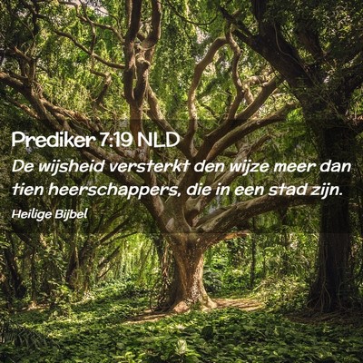 Picture 02 - Prediker 7:19 NLD - De wijsheid versterkt den wijze meer dan tien - Bible Verse Picture