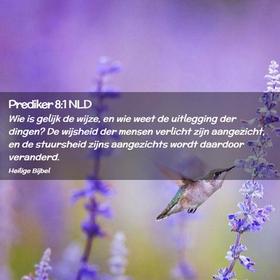 Picture 02 - Prediker 8:1 NLD - Wie is gelijk de wijze, en wie weet de uitlegging - Bible Verse Picture