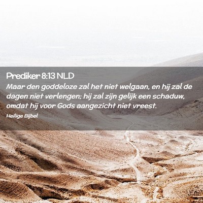Picture 02 - Prediker 8:13 NLD - Maar den goddeloze zal het niet welgaan, en hij - Bible Verse Picture