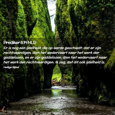 Picture 02 - Prediker 8:14 NLD - Er is nog een ijdelheid, die op aarde geschiedt: - Bible Verse Picture