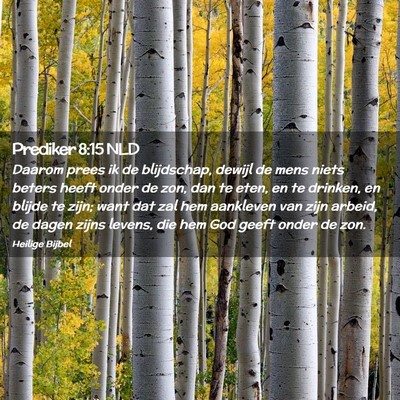 Picture 02 - Prediker 8:15 NLD - Daarom prees ik de blijdschap, dewijl de mens - Bible Verse Picture