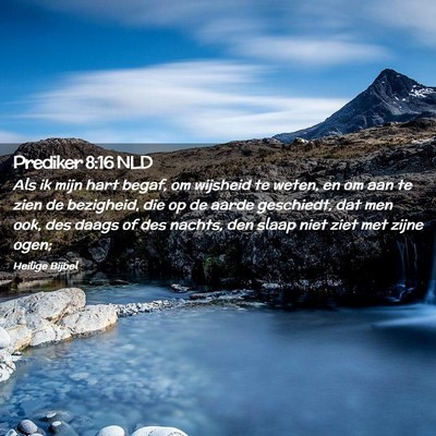 Picture 02 - Prediker 8:16 NLD - Als ik mijn hart begaf, om wijsheid te weten, en - Bible Verse Picture