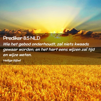 Picture 02 - Prediker 8:5 NLD - Wie het gebod onderhoudt, zal niets kwaads gewaar - Bible Verse Picture