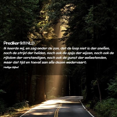 Picture 02 - Prediker 9:11 NLD - Ik keerde mij, en zag onder de zon, dat de loop - Bible Verse Picture
