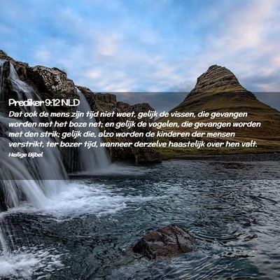 Picture 02 - Prediker 9:12 NLD - Dat ook de mens zijn tijd niet weet, gelijk de - Bible Verse Picture