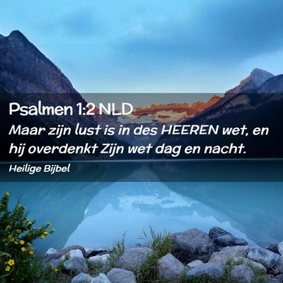 Picture 02 - Psalmen 1:2 NLD - Maar zijn lust is in des HEEREN wet, en hij - Bible Verse Picture
