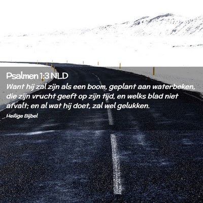 Picture 02 - Psalmen 1:3 NLD - Want hij zal zijn als een boom, geplant aan - Bible Verse Picture
