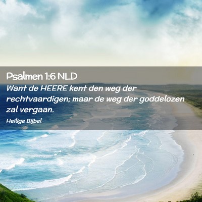 Picture 02 - Psalmen 1:6 NLD - Want de HEERE kent den weg der rechtvaardigen; - Bible Verse Picture