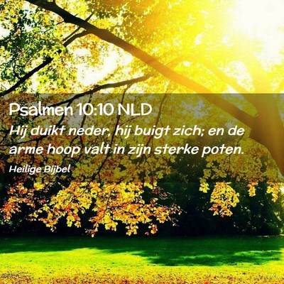 Picture 02 - Psalmen 10:10 NLD - Hij duikt neder, hij buigt zich; en de arme hoop - Bible Verse Picture