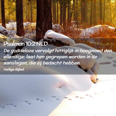 Picture 02 - Psalmen 10:2 NLD - De goddeloze vervolgt hittiglijk in hoogmoed den - Bible Verse Picture