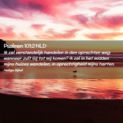 Picture 02 - Psalmen 101:2 NLD - Ik zal verstandelijk handelen in den oprechten - Bible Verse Picture