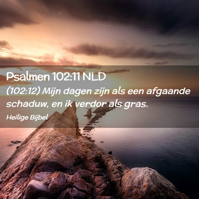 Picture 02 - Psalmen 102:11 NLD - (102:12) Mijn dagen zijn als een afgaande - Bible Verse Picture