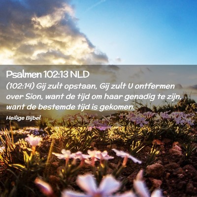 Picture 02 - Psalmen 102:13 NLD - (102:14) Gij zult opstaan, Gij zult U ontfermen - Bible Verse Picture