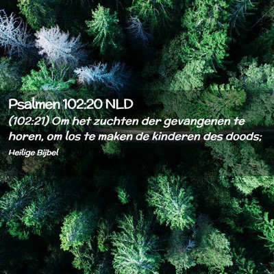 Picture 02 - Psalmen 102:20 NLD - (102:21) Om het zuchten der gevangenen te horen, - Bible Verse Picture