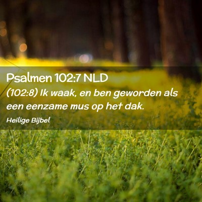 Picture 02 - Psalmen 102:7 NLD - (102:8) Ik waak, en ben geworden als een eenzame - Bible Verse Picture