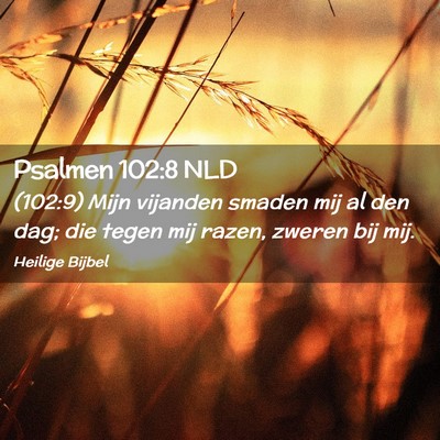 Picture 02 - Psalmen 102:8 NLD - (102:9) Mijn vijanden smaden mij al den dag; die - Bible Verse Picture