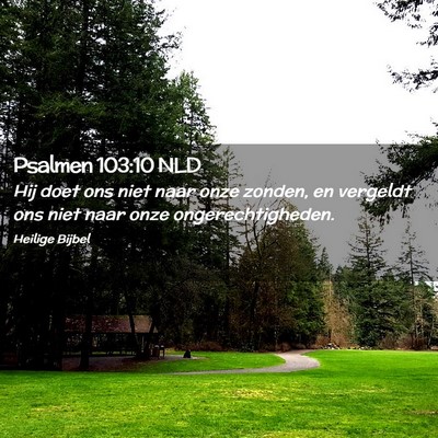 Picture 02 - Psalmen 103:10 NLD - Hij doet ons niet naar onze zonden, en vergeldt - Bible Verse Picture