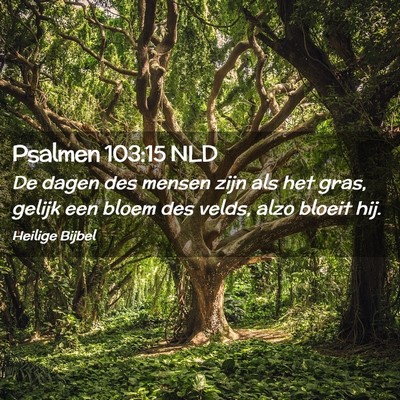 Picture 02 - Psalmen 103:15 NLD - De dagen des mensen zijn als het gras, gelijk een - Bible Verse Picture