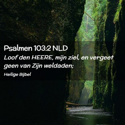 Picture 02 - Psalmen 103:2 NLD - Loof den HEERE, mijn ziel, en vergeet geen van - Bible Verse Picture