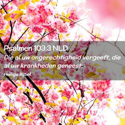 Picture 02 - Psalmen 103:3 NLD - Die al uw ongerechtigheid vergeeft, die al uw - Bible Verse Picture
