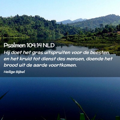 Picture 02 - Psalmen 104:14 NLD - Hij doet het gras uitspruiten voor de beesten, en - Bible Verse Picture