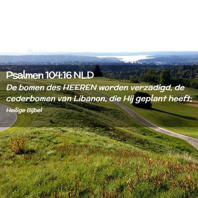 Picture 02 - Psalmen 104:16 NLD - De bomen des HEEREN worden verzadigd, de - Bible Verse Picture