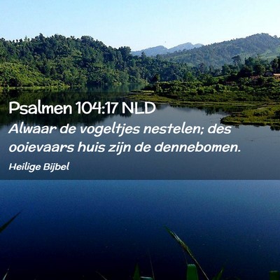 Picture 02 - Psalmen 104:17 NLD - Alwaar de vogeltjes nestelen; des ooievaars huis - Bible Verse Picture