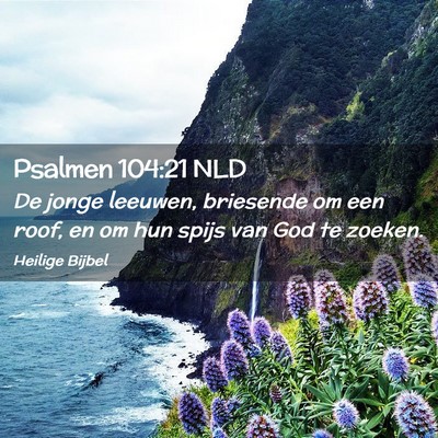 Picture 02 - Psalmen 104:21 NLD - De jonge leeuwen, briesende om een roof, en om - Bible Verse Picture