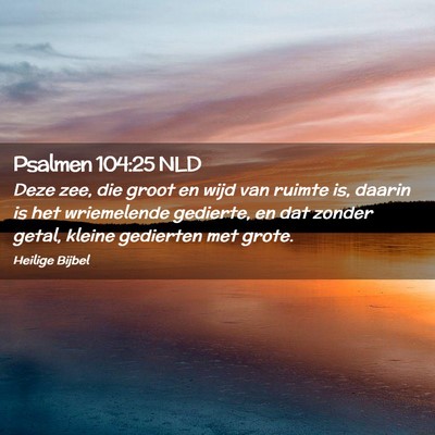 Picture 02 - Psalmen 104:25 NLD - Deze zee, die groot en wijd van ruimte is, daarin - Bible Verse Picture