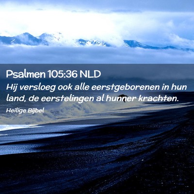 Picture 02 - Psalmen 105:36 NLD - Hij versloeg ook alle eerstgeborenen in hun land, - Bible Verse Picture