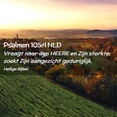 Picture 02 - Psalmen 105:4 NLD - Vraagt naar den HEERE en Zijn sterkte; zoekt Zijn - Bible Verse Picture