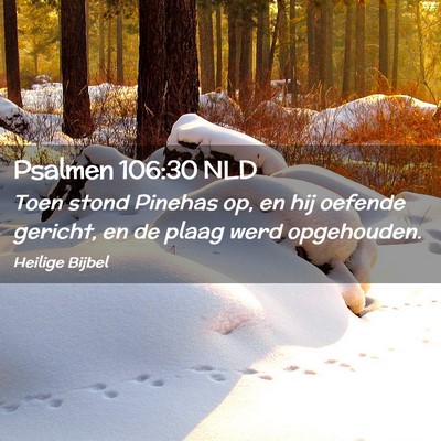 Picture 02 - Psalmen 106:30 NLD - Toen stond Pinehas op, en hij oefende gericht, en - Bible Verse Picture
