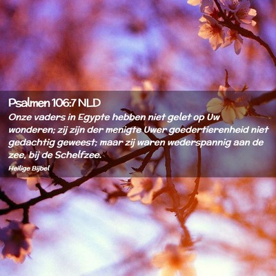 Picture 02 - Psalmen 106:7 NLD - Onze vaders in Egypte hebben niet gelet op Uw - Bible Verse Picture
