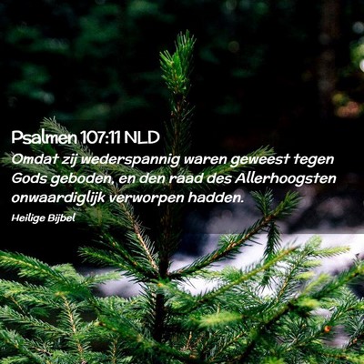 Picture 02 - Psalmen 107:11 NLD - Omdat zij wederspannig waren geweest tegen Gods - Bible Verse Picture