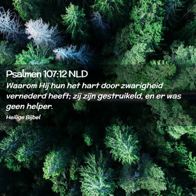 Picture 02 - Psalmen 107:12 NLD - Waarom Hij hun het hart door zwarigheid vernederd - Bible Verse Picture