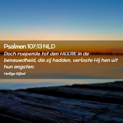 Picture 02 - Psalmen 107:13 NLD - Doch roepende tot den HEERE in de benauwdheid, - Bible Verse Picture