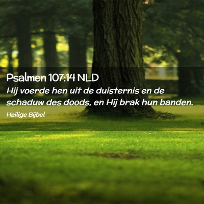 Picture 02 - Psalmen 107:14 NLD - Hij voerde hen uit de duisternis en de schaduw - Bible Verse Picture