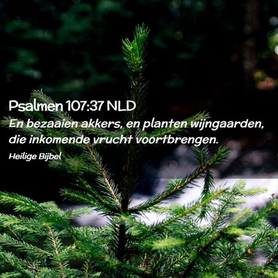 Picture 02 - Psalmen 107:37 NLD - En bezaaien akkers, en planten wijngaarden, die - Bible Verse Picture