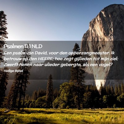 Picture 02 - Psalmen 11:1 NLD - Een psalm van David, voor den opperzangmeester. - Bible Verse Picture