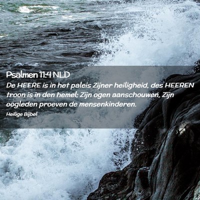 Picture 02 - Psalmen 11:4 NLD - De HEERE is in het paleis Zijner heiligheid, des - Bible Verse Picture