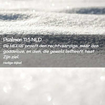 Picture 02 - Psalmen 11:5 NLD - De HEERE proeft den rechtvaardige; maar den - Bible Verse Picture
