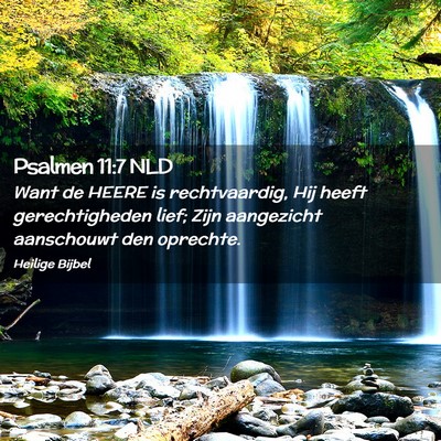 Picture 02 - Psalmen 11:7 NLD - Want de HEERE is rechtvaardig, Hij heeft - Bible Verse Picture