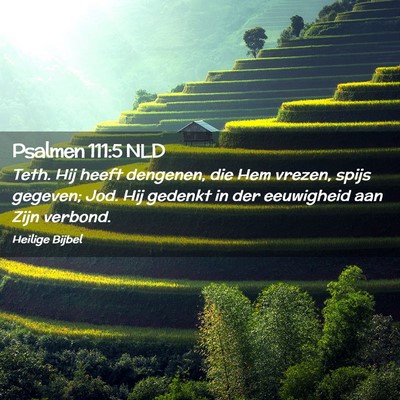 Picture 02 - Psalmen 111:5 NLD - Teth. Hij heeft dengenen, die Hem vrezen, spijs - Bible Verse Picture
