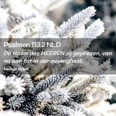 Picture 02 - Psalmen 113:2 NLD - De Naam des HEEREN zij geprezen, van nu aan tot - Bible Verse Picture