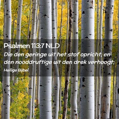 Picture 02 - Psalmen 113:7 NLD - Die den geringe uit het stof opricht, en den - Bible Verse Picture